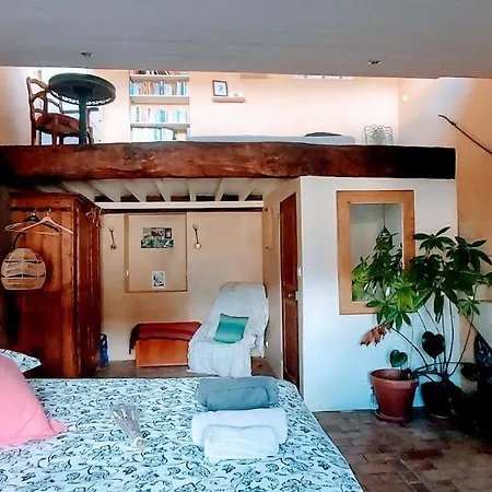 17th Century Town House In Centre Vakantiehuis Forcalquier